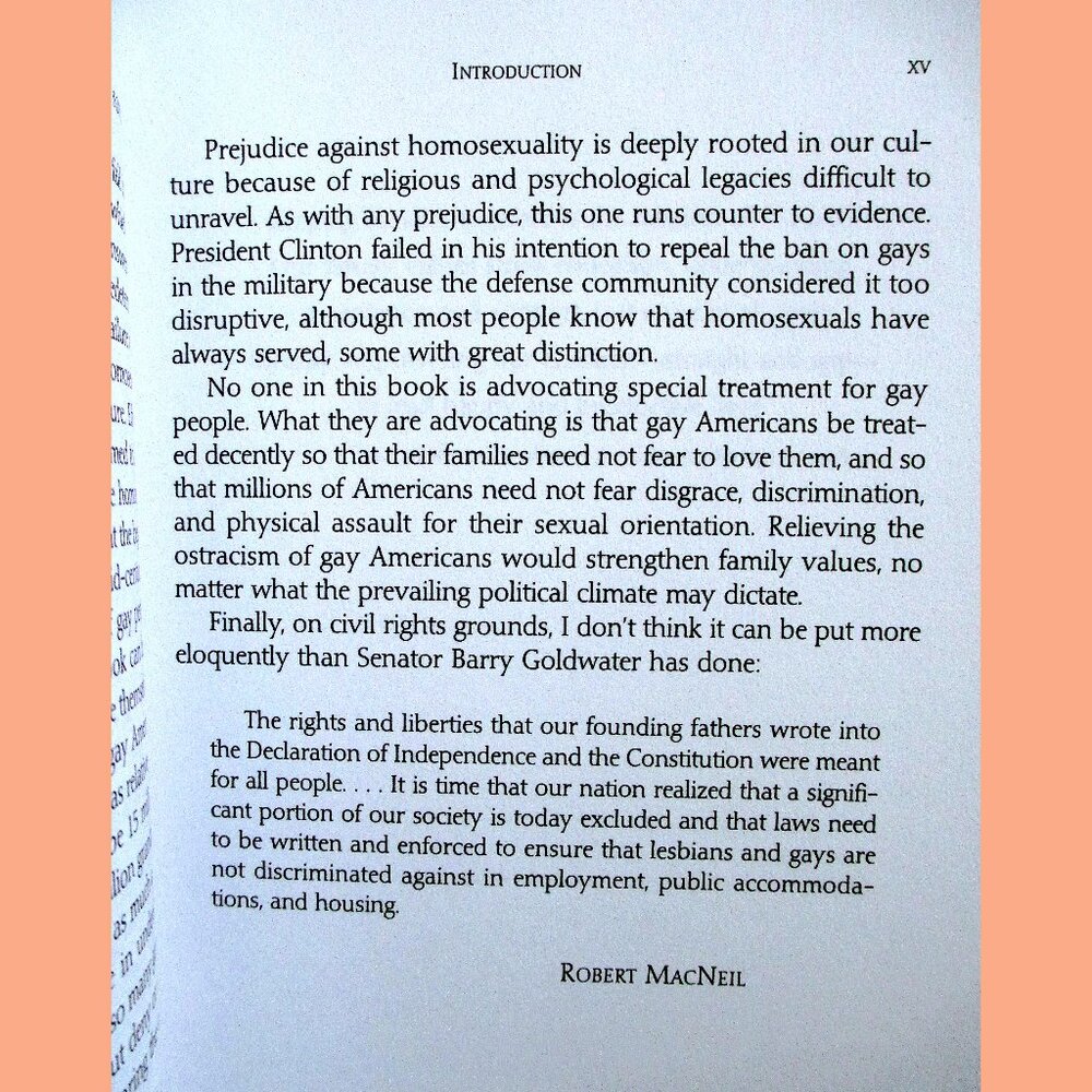Book - Straight Parents, Gay Children: Inspiring Families to Live Honestly.... - Picture 5 of 14